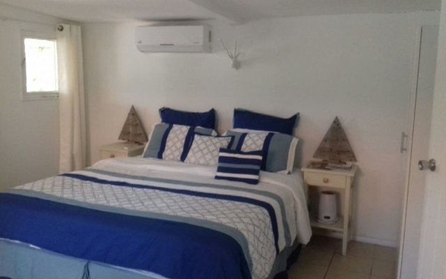 Palm Trees Apartments in Willemstad, Curacao from 86$, photos, reviews - zenhotels.com