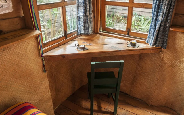 La Iguana Perdida - Hostel