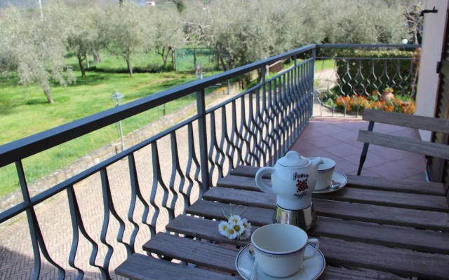 Le Coccole Del Trasimeno