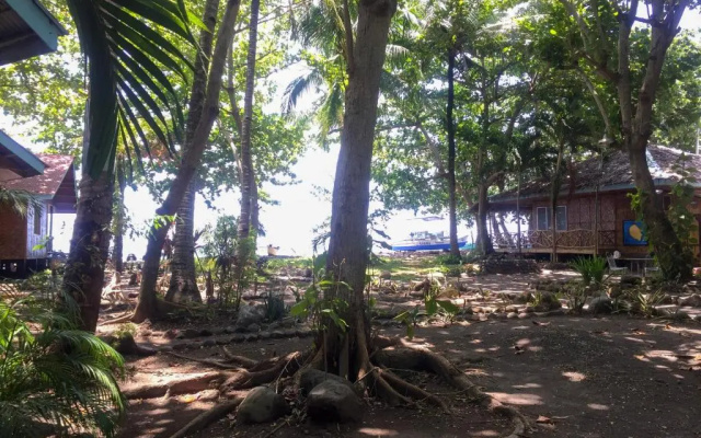beach house resort and dive center
