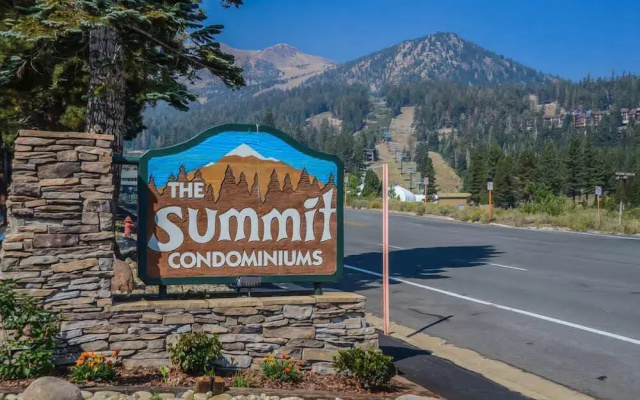 Summit #20