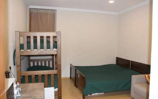 Comfortable Flat In The Center Of Borjomi