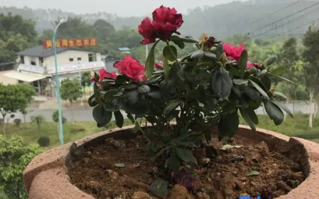 Xianhegu Farmhouse