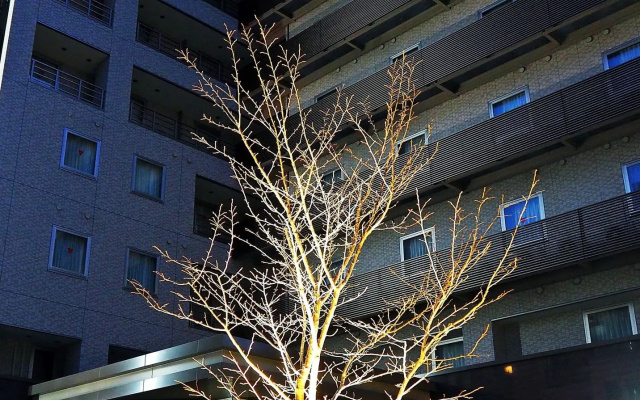 noku OSAKA