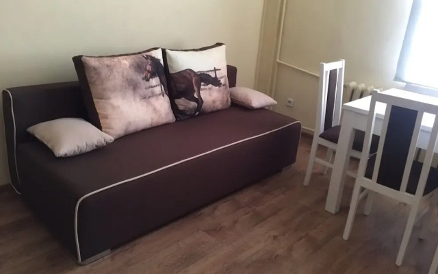 Penguin Rooms - Kielce Downtown Sienkiewicza