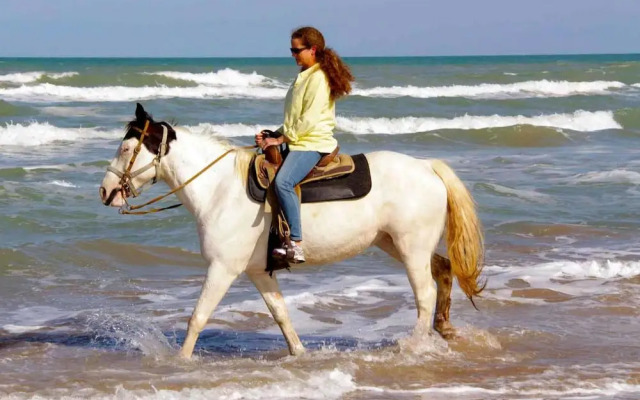 Sea Dancer 9