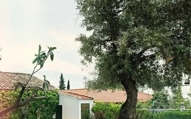 Villa Los Rosales