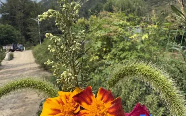 Laiyuan Baishishan Jiaoqing Homestay