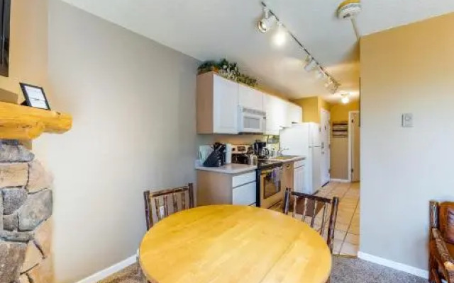 Scandinavian Lodge and Condominiums - 301