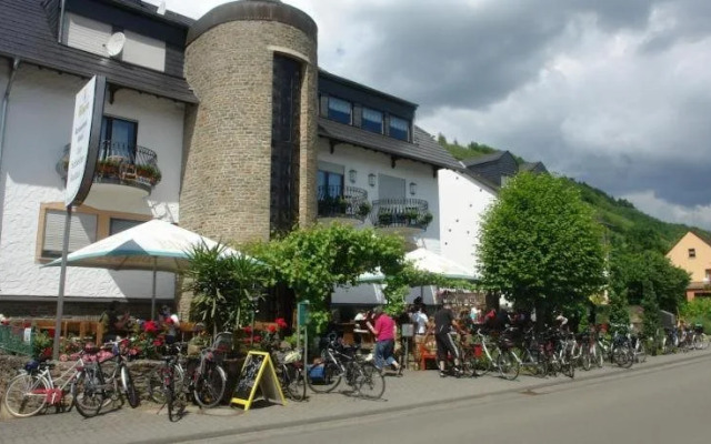 Schleicher Kuckuck