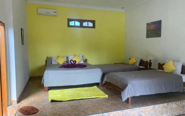 Lovina Vibes Hotel
