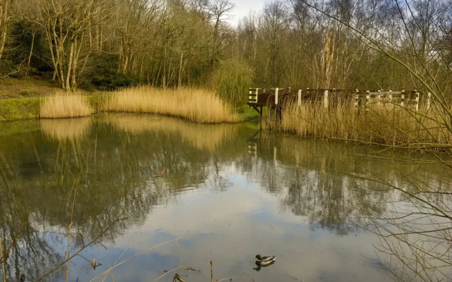 Lodge - Sleeps 6 With Pool Access