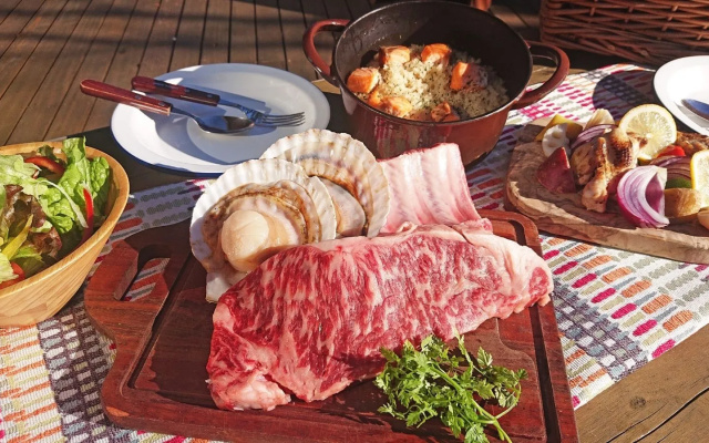 PICA Fujiyama