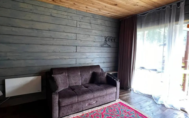 Altay Dream (Алтай Дрим)