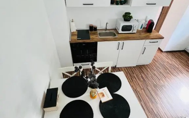 Apartament in regim hotelier King Medias