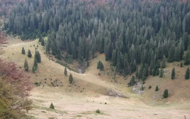 Chalet Lucija