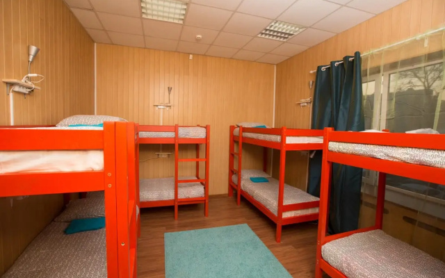 Kangaroo hostel
