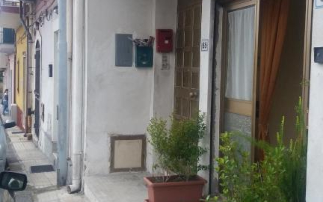 Il Guscio