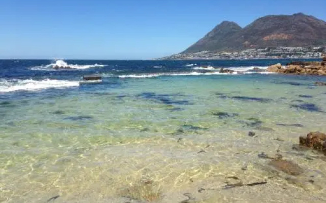 Berg and Beach - Simon's Town