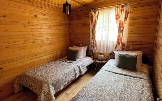 Afera Koy Evi