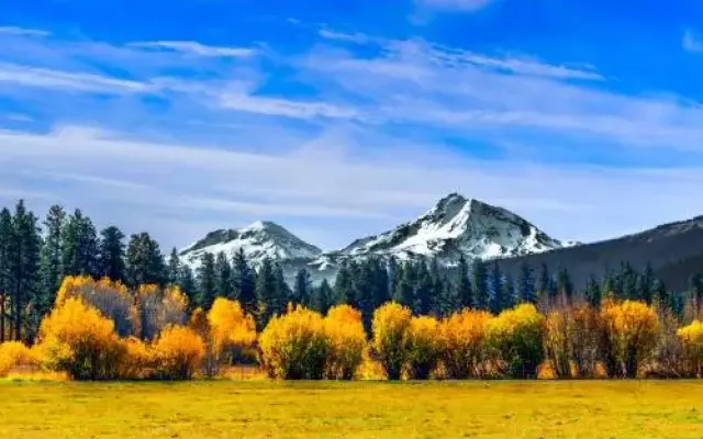 Black Butte Big Meadow's 11th Fairway