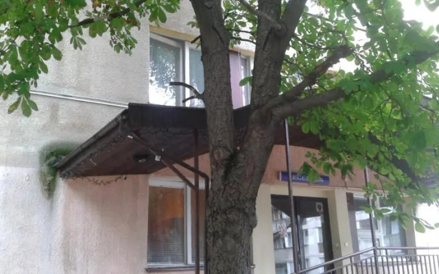 Noclegi Suseł
