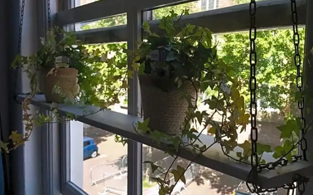 B&B de Kaepstander