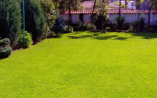Kalina Guest House