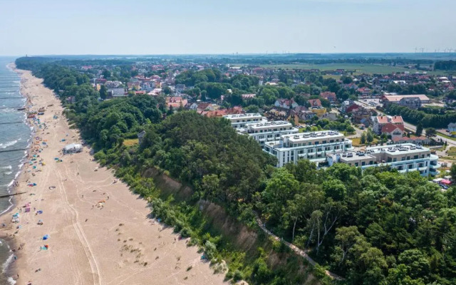 Sosna i Wydma