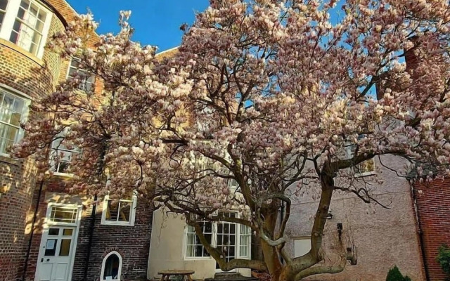 St John's College