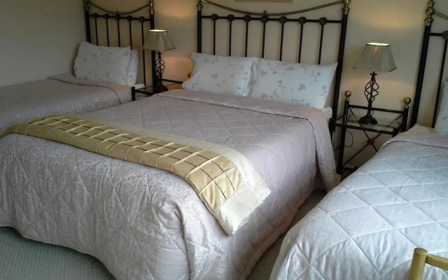 Fern Rock Bed and Breakfast