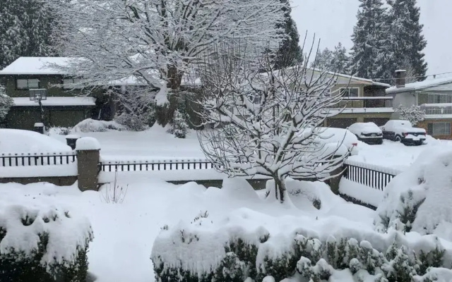 Spacious Burnaby Guest Home