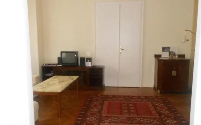 Big and Nice Flat in Budapest