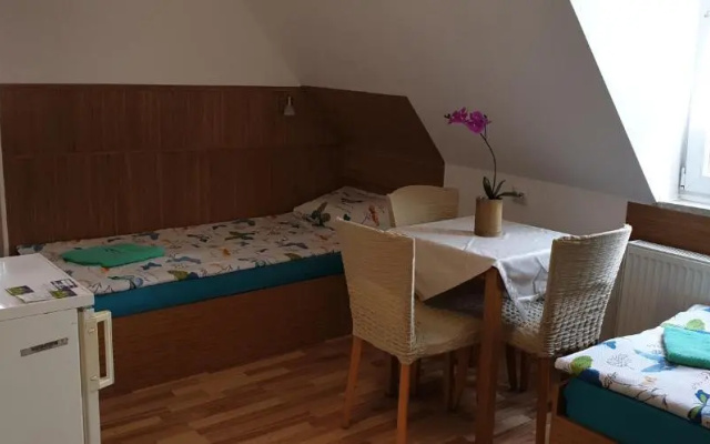 Pension Haus Baron 1 Neckarau