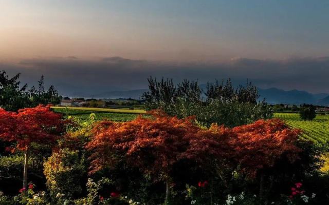 Agriturismo Corte Zenati