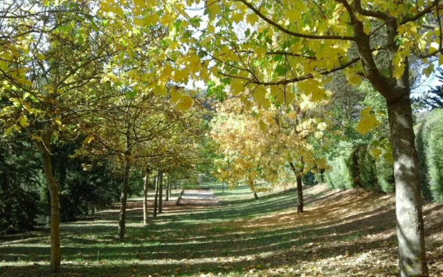 Agriturismo VILLA MOZART nel verde
