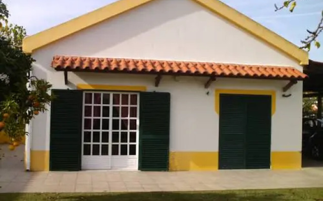 Your Portuguese Home