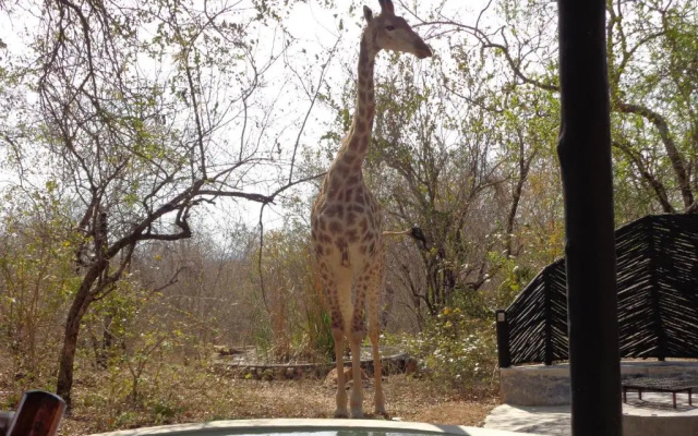 Kruger River Villas - Mtombo