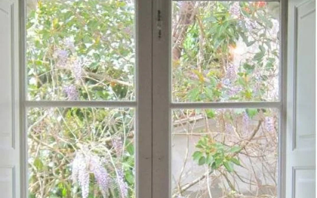 São Miguel Guest House