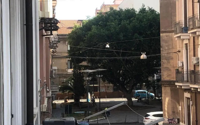 Montello Guest House & Apartment