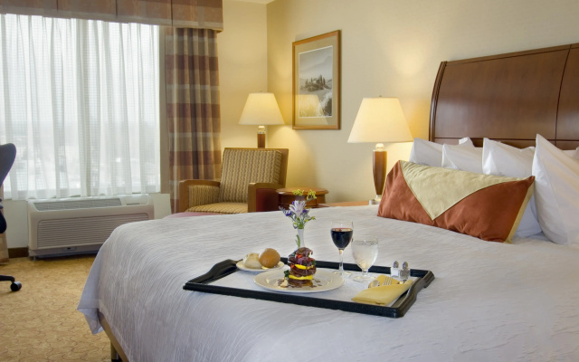 Hilton Garden Inn Cleveland East/Mayfield Village