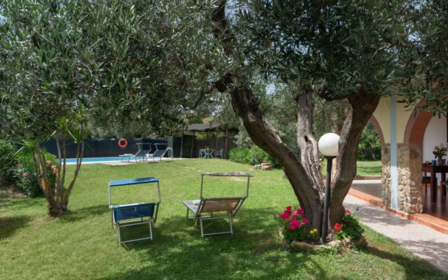 Bouganville 39328