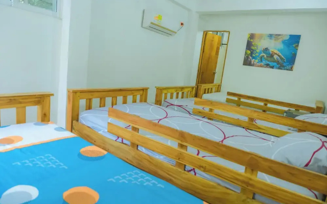 Perla Negra House Hostel