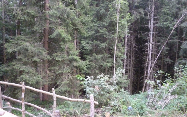 Yourte Les Bruyères de Gaschon