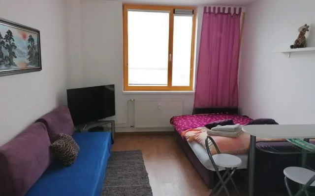 Cozy apartment