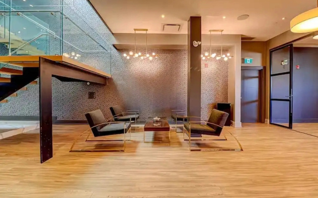 Inviting 2BR Basement Suite - Downtown