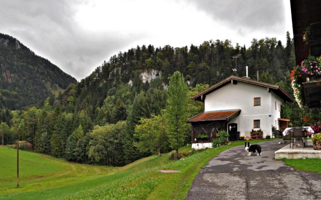 Greinhof