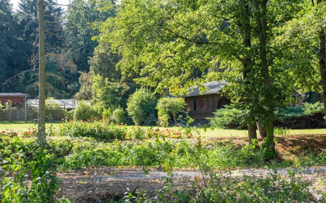 Pretty Holiday Home in Eschede Germany near Forest