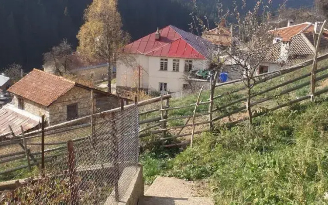 Milushevi House