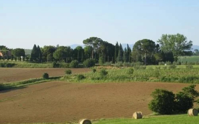 Zurli